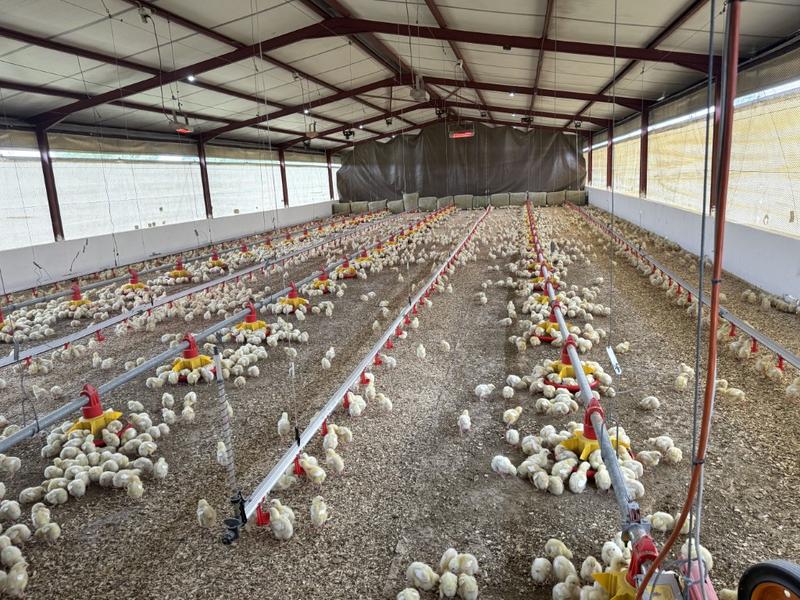 0 Bedroom Property for Sale in Harrismith Free State